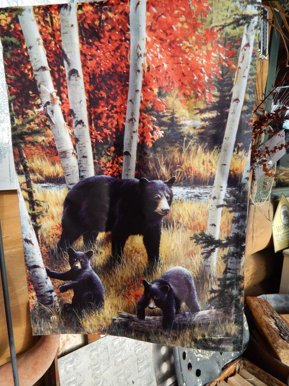 Idle Spurs Log Cabin Bed & Breakfast Black Diamond エクステリア 写真