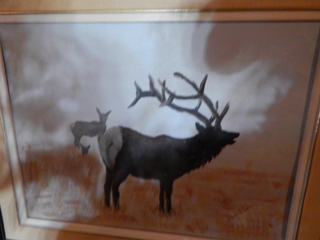 Idle Spurs Log Cabin Bed & Breakfast Black Diamond エクステリア 写真