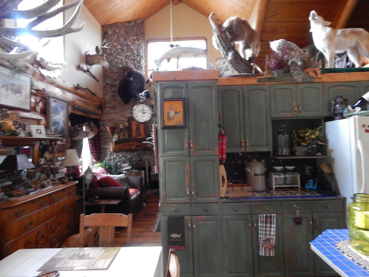 Idle Spurs Log Cabin Bed & Breakfast Black Diamond エクステリア 写真